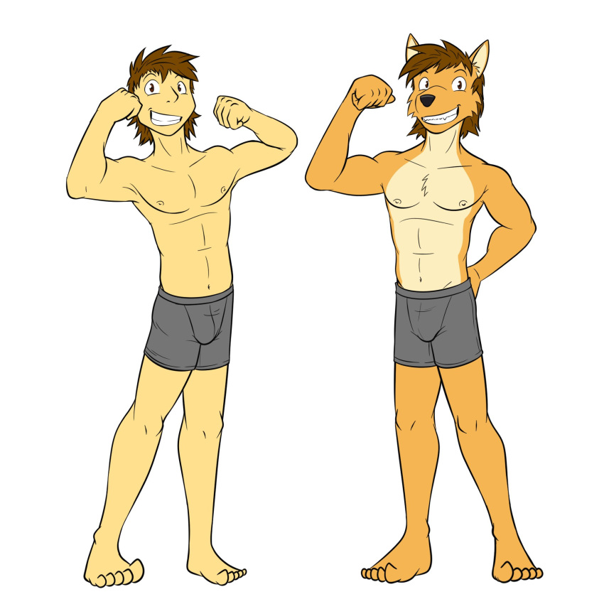1:1 alternate_species anthro boxer_briefs bulge canid canine canis clothed clothing coyote duo flexing fuze hi_res human humanized male mammal mond_reyes navel nipples simple_background texnatsu topless underwear underwear_only white_background