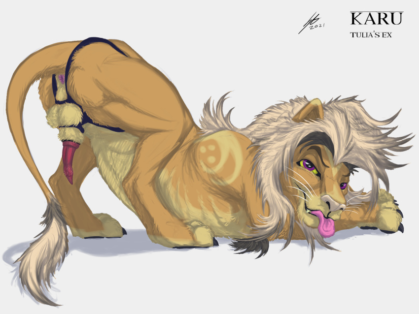 anatomically_correct anatomically_correct_anus anatomically_correct_genitalia anatomically_correct_penis animal_genitalia anus balls butt digital_media_(artwork) erection felid feral fur genitals harness hi_res karu_(soulgryph) lineless lion looking_at_viewer male mammal nude pantherine penile_spines penis pinup pose presenting presenting_anus presenting_hindquarters presenting_penis purple_eyes quadruped solo soulgryph