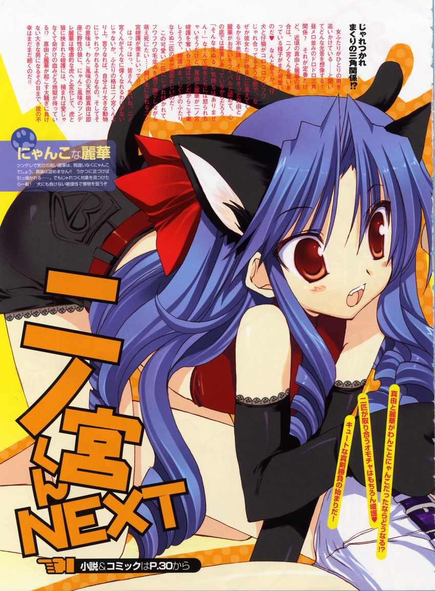 animal_ears goshuushou-sama_ninomiya-kun houjou_reika nekomimi takanae_kyourin