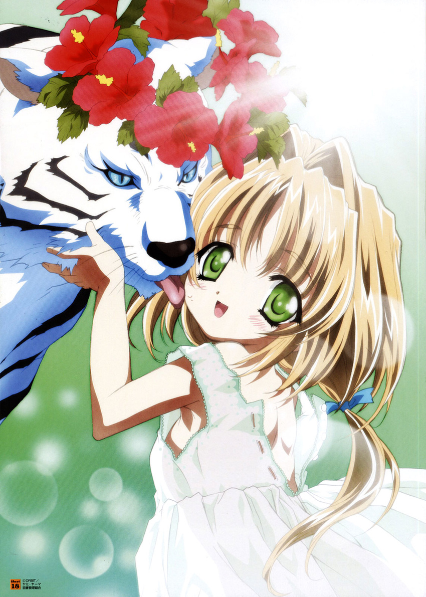 animal artbook cheek_licking child face_licking flower friends green_eyes hair_ribbon hibiscus highres licking miruka nishida_asako official_art rascaless ribbon scan solo tiger tongue white_tiger wreath yami_to_boushi_to_hon_no_tabibito