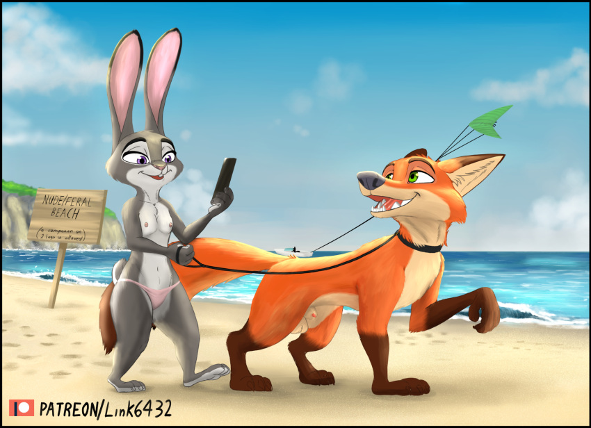 animal_genitalia anthro balls beach bikini bikini_bottom breasts canid canine clothed clothing detailed_background dipstick_ears dipstick_tail disney duo female feral feralized fox fur genitals gloves_(marking) green_eyes hi_res holding_leash holding_object inner_ear_fluff judy_hopps lagomorph leash leg_markings leporid link6432 looking_back male mammal markings multicolored_body multicolored_ears multicolored_fur multicolored_tail navel nick_wilde nipples nude nude_beach open_mouth open_smile outside penis purple_eyes rabbit seaside sheath sign small_breasts smile socks_(marking) swimwear text topless tuft two_tone_body two_tone_fur zootopia