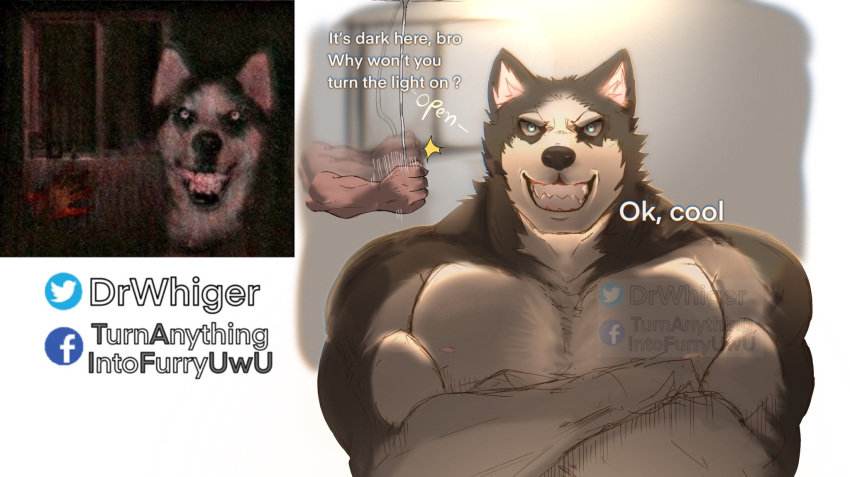 2021 anthro anthrofied canid canine canis creepypasta crossed_arms dialogue domestic_dog dr.whiger duo english_text hi_res humor husky looking_at_viewer male mammal muscular muscular_anthro muscular_male nordic_sled_dog offscreen_character open_mouth open_smile photo smile smile.dog solo_focus spitz teeth text url watermark