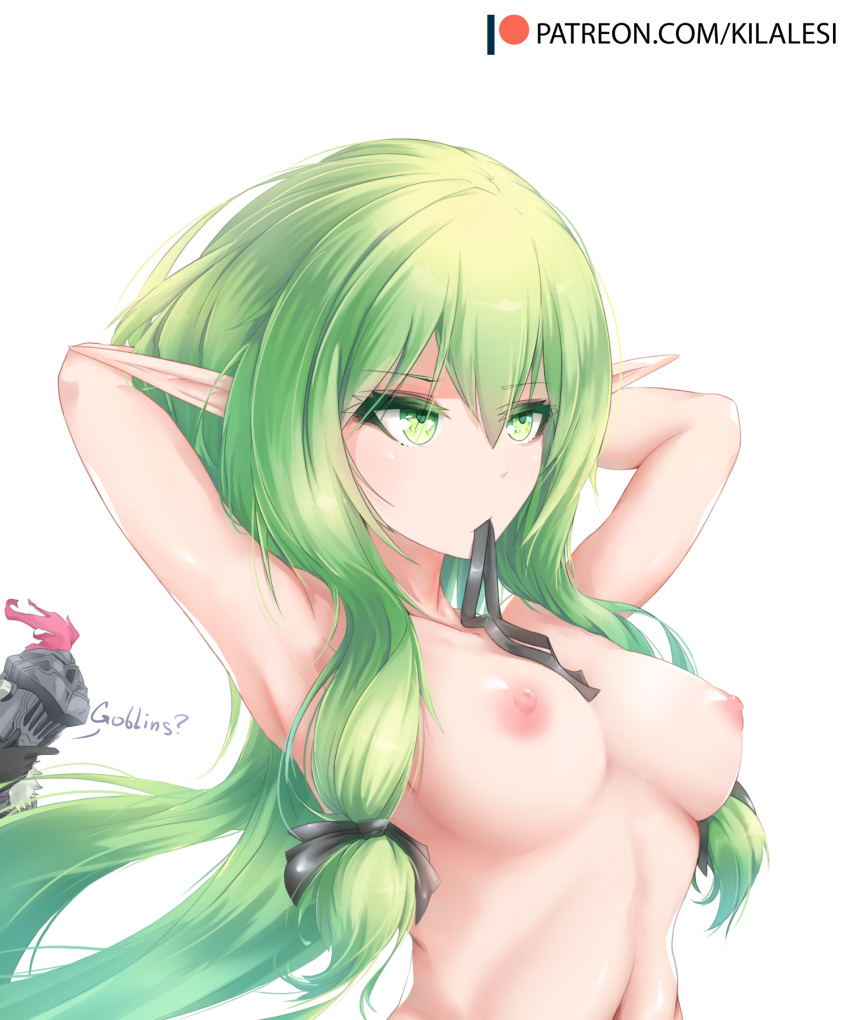 breasts elf goblin_slayer goblin_slayer_(character) high_elf_archer kilalesi nipples pointy_ears tagme topless