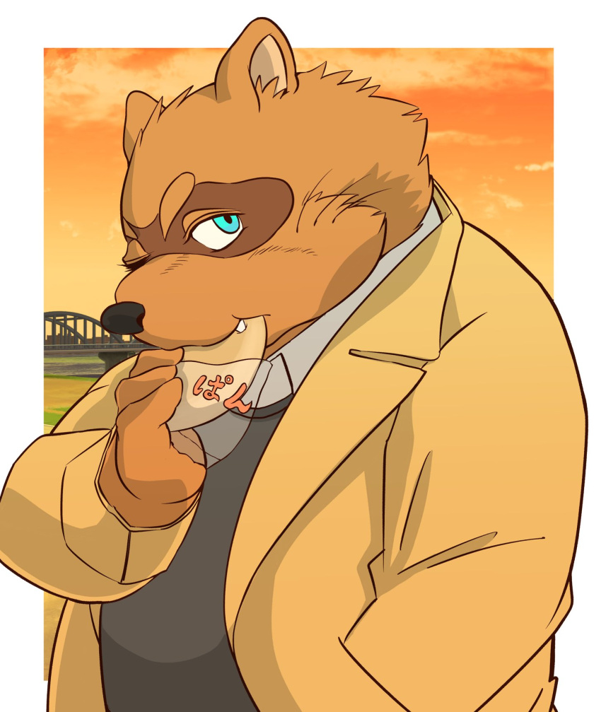 2021 anthro blue_eyes canid canine clothing detailed_background eating food hi_res hysk kemono male mammal outside overweight overweight_male raccoon_dog sengoku_puzzle shadow_ieyasu shirt solo tanuki topwear video_games