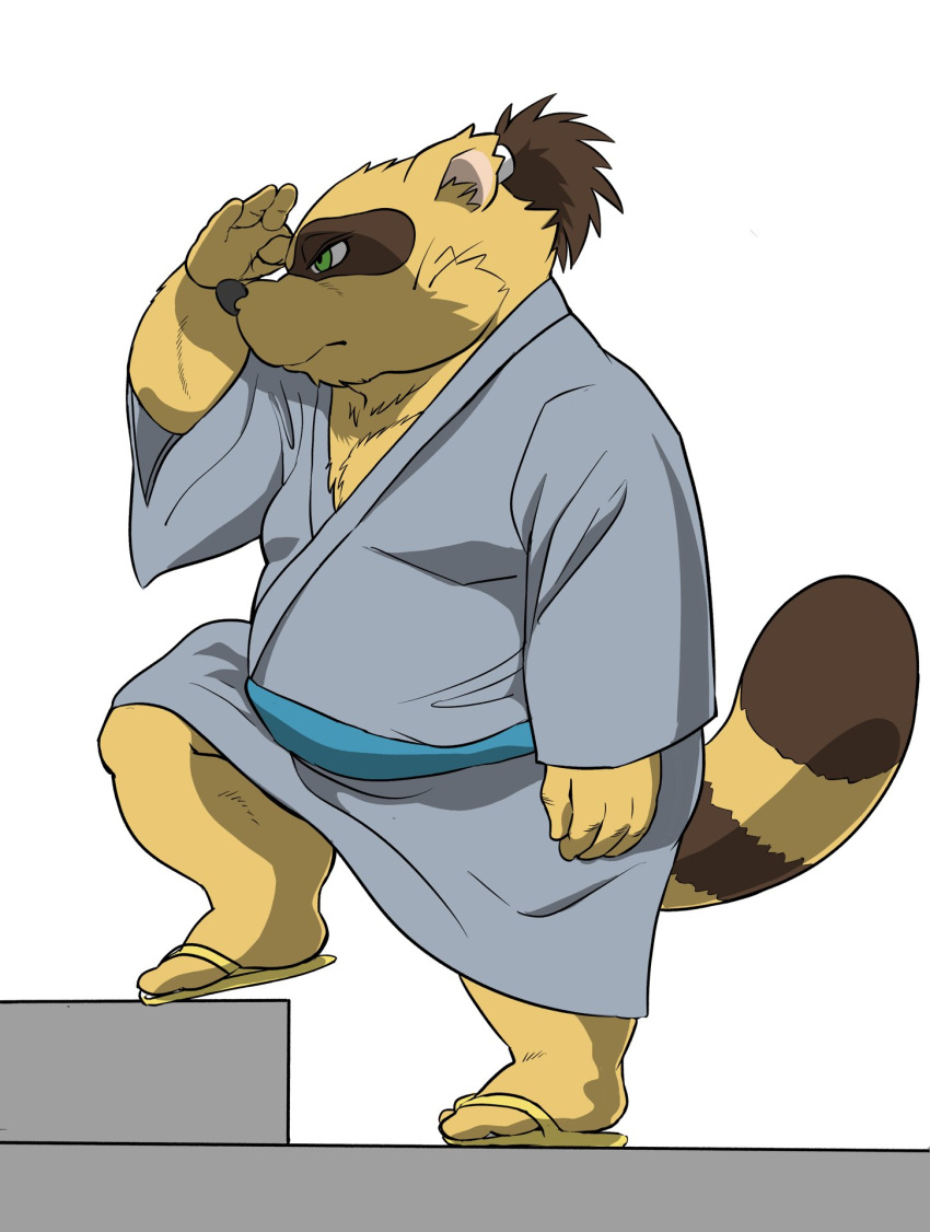 2021 anthro brown_body brown_fur canid canine clothing footwear fur green_eyes hi_res humanoid_hands hysk kemono male mammal overweight overweight_male raccoon_dog robe sandals sengoku_puzzle simple_background solo tanuki tokugawa_ieyasu video_games