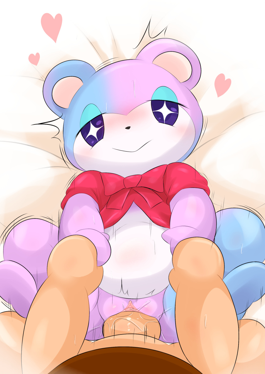&lt;3 absurd_res animal_crossing anthro bedroom_eyes belly blush bodily_fluids clothed clothing duo female female_penetrated genital_fluids genitals hi_res human judy_(animal_crossing) male male/female male_penetrating male_penetrating_female mammal motion_lines multicolored_body narrowed_eyes nintendo penetration purple_eyes pussy pussy_juice seductive sex slightly_chubby smile type ursid vaginal vaginal_penetration video_games