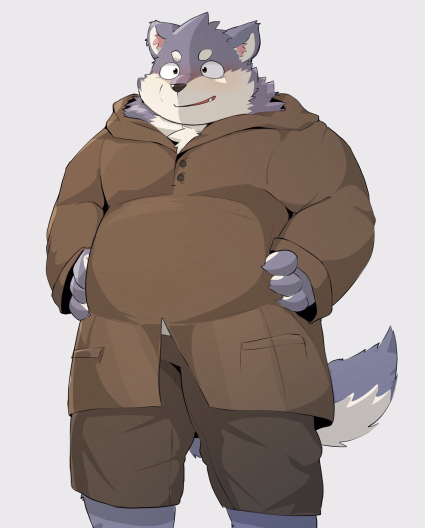 2021 anthro blush bottomwear canid canine canis clothing domestic_dog hi_res hoodie humanoid_hands kemono male mammal morningbread16 overweight overweight_anthro overweight_male shorts simple_background solo topwear white_background