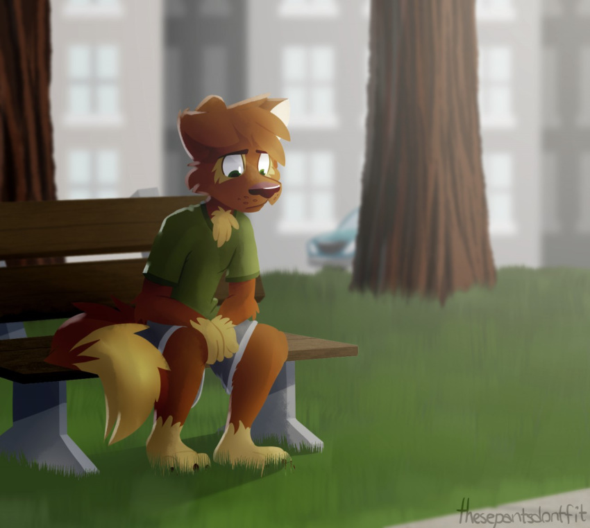 anthro barefoot bench blue_bottomwear blue_clothing blue_pants bottomwear brown_body brown_fur canid canine canis clothing depression domestic_dog fur grass green_clothing green_eyes green_shirt green_topwear male mammal matt_riskely outside pants plant shirt shorts solo tinydeerguy topwear tree