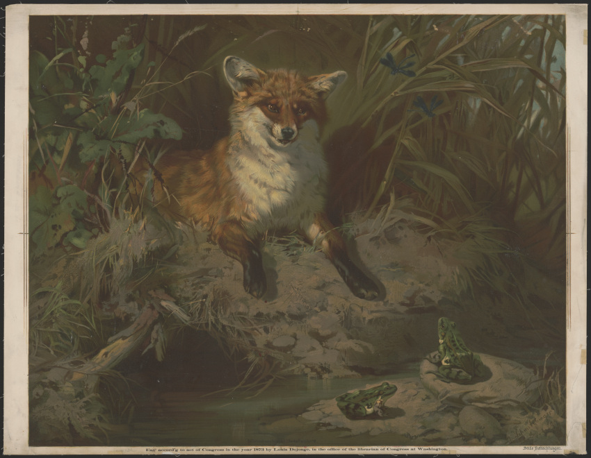 absurd_res ambiguous_gender amphibian arthropod black_nose black_paws black_spots brown_eyes canid canine countershading creek day detailed_background dipstick_paws dragonfly ears_up english_text eye_contact feral fox frog fur german_text grass green_body green_skin group hi_res huge_filesize insect lithograph looking_at_another lying mammal mud multicolored_body multicolored_fur multicolored_skin nature on_front open_mouth orange_body orange_fur outside plant predator/prey public_domain ranid red_fox rock shadow side_view signature size_difference spots spotted_body spotted_skin text three-quarter_view traditional_media_(artwork) trio_focus two_tone_body two_tone_fur unknown_artist unknown_artist_signature water whiskers white_body white_countershading white_fur white_skin