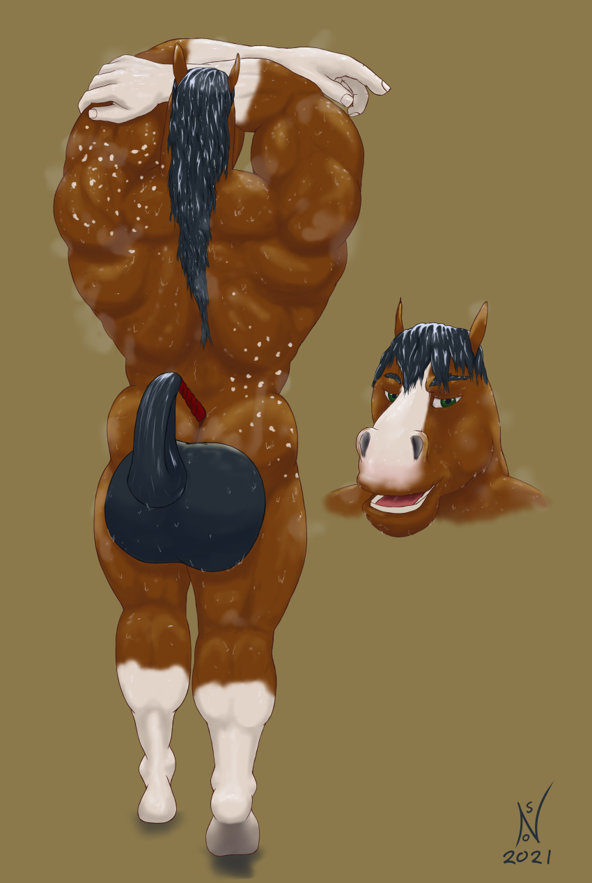 absurd_res balls black_balls black_hair bodily_fluids brown_body butt equid equine genitals green_eyes hair hi_res horse hyper male mammal mane muscular muscular_male musk nostracon silas_(nostracon) simple_background solo sweat wet_hair