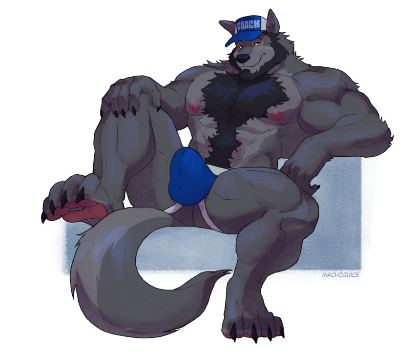 abs anthro baseball_cap biceps big_muscles body_hair bulge canid canine canis clothing coach_mika happy_trail hat headgear headwear hi_res looking_at_viewer machojuice male mammal muscular muscular_anthro muscular_male nipples paws pecs simple_background solo underwear wolf