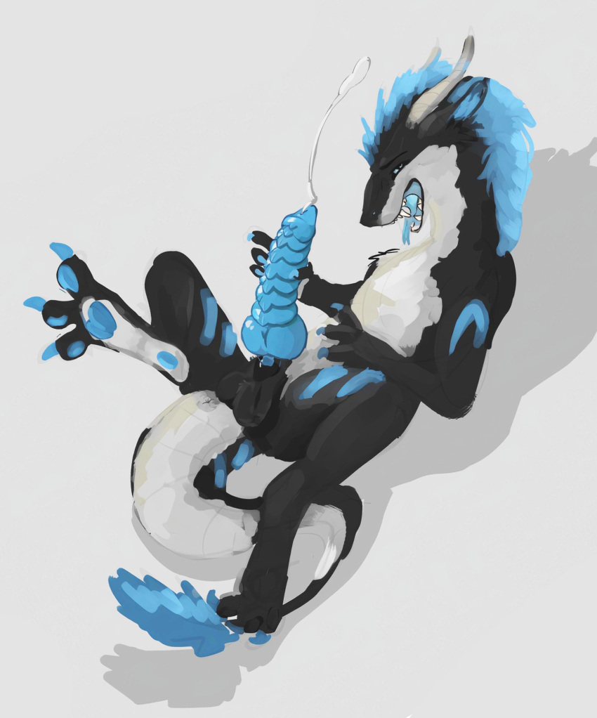 3_toes anus balls black_body black_fur blue_body blue_eyes blue_fur blue_mane blue_markings blue_pawpads blue_tongue bodily_fluids butt claws cum digitigrade dragon eclipse_dragon ejaculation feet feral fur furred_dragon genital_fluids genitals hand_on_penis hi_res horn knot looking_at_viewer lying male mane markings masturbation multicolored_body multicolored_fur on_back outside pawpads penile penile_masturbation penis presenting ribbed_penis solo toes tongue two_tone_body two_tone_fur unknown_artist white_body white_fur