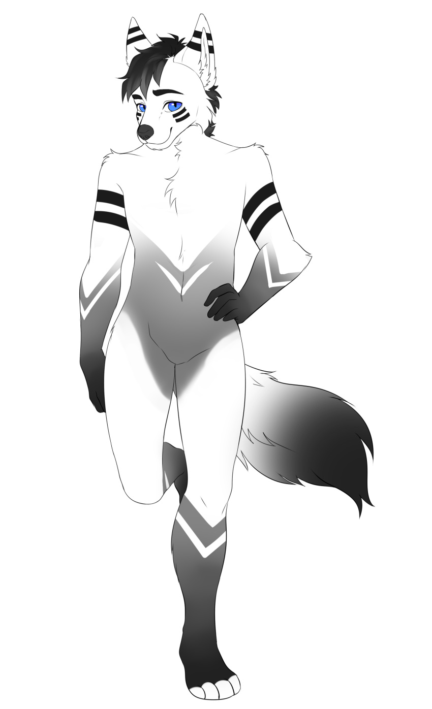 absurd_res alpha_channel anthro blue_eyes canid canine fur hi_res hybrid male mammal stripes_(marking) white_body white_fur white_toes zyphron