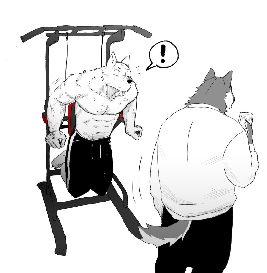 abs anthro bodily_fluids canid duo exercise fur grey_body grey_fur hi_res invalid_tag kuro_(nomifuki) male mammal nomifuki phone shiro_(nomifuki) sweat sweat_pants sweatshirt white_body white_fur workout workout_clothing