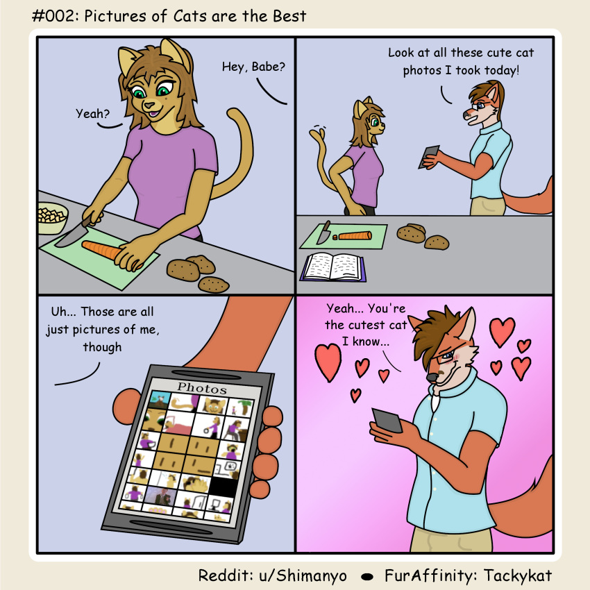 &lt;3 4_panel_comic absurd_res allie_(tackykat) anthro blush canid canine comic cooking dialogue domestic_cat duo felid feline felis female fox hi_res kyle_(tackykat) loss male male/female mammal meme phone tackykat