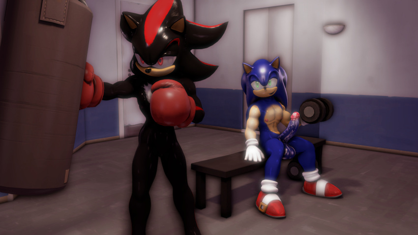 3d_(artwork) absurd_res balls boxing_gloves clothing digital_media_(artwork) dumbbell duo erection exercise genitals gym handwear hi_res male male/male muscular muscular_male penis punching_bag shadow_the_hedgehog sonic_the_hedgehog sonic_the_hedgehog_(series) sonicthebitch source_filmmaker weights workout