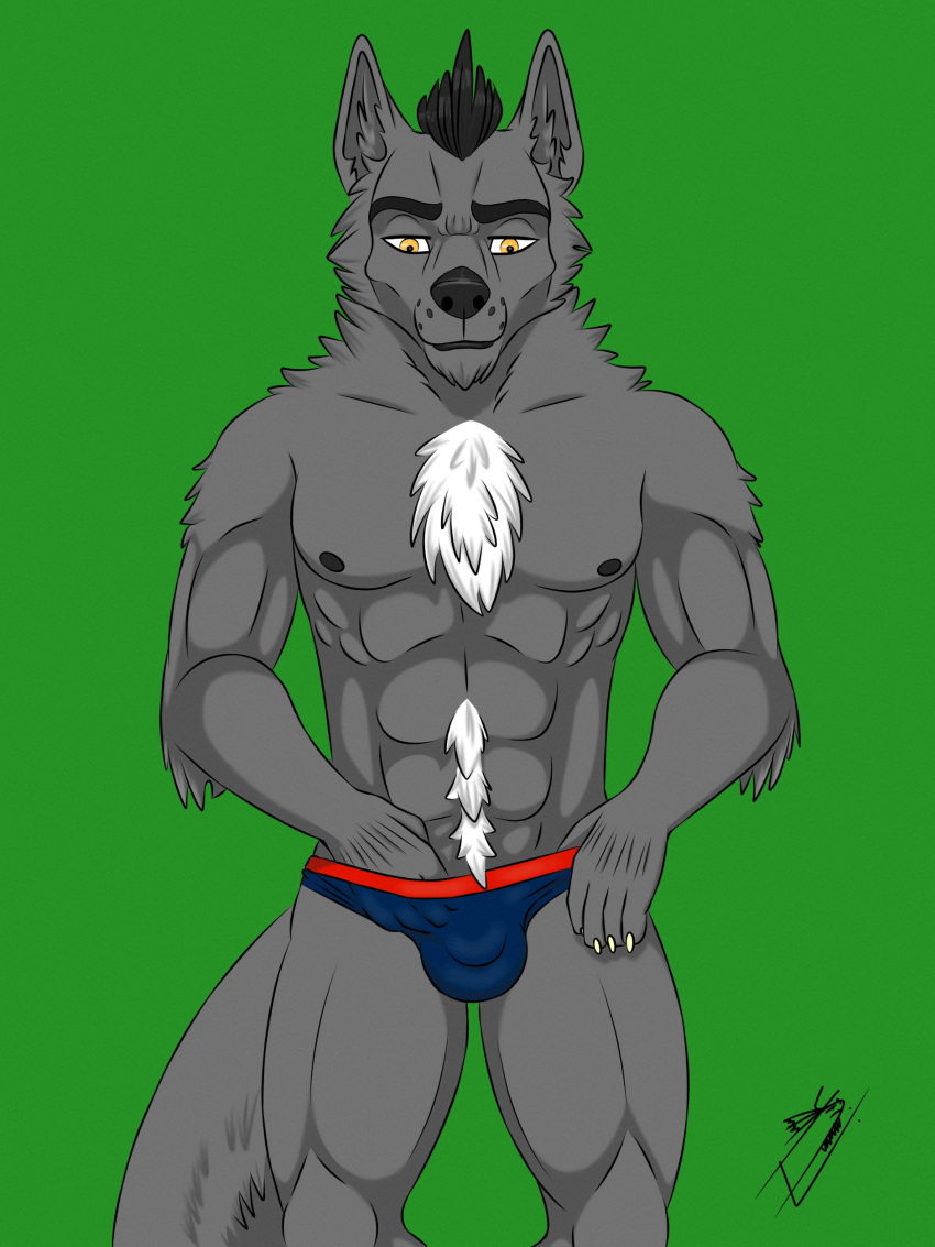 3:4 absurd_res anthro bulge canid canine canis clothed clothing domestic_dog drekkorwolfsoul hi_res male mammal nipples simple_background solo underwear