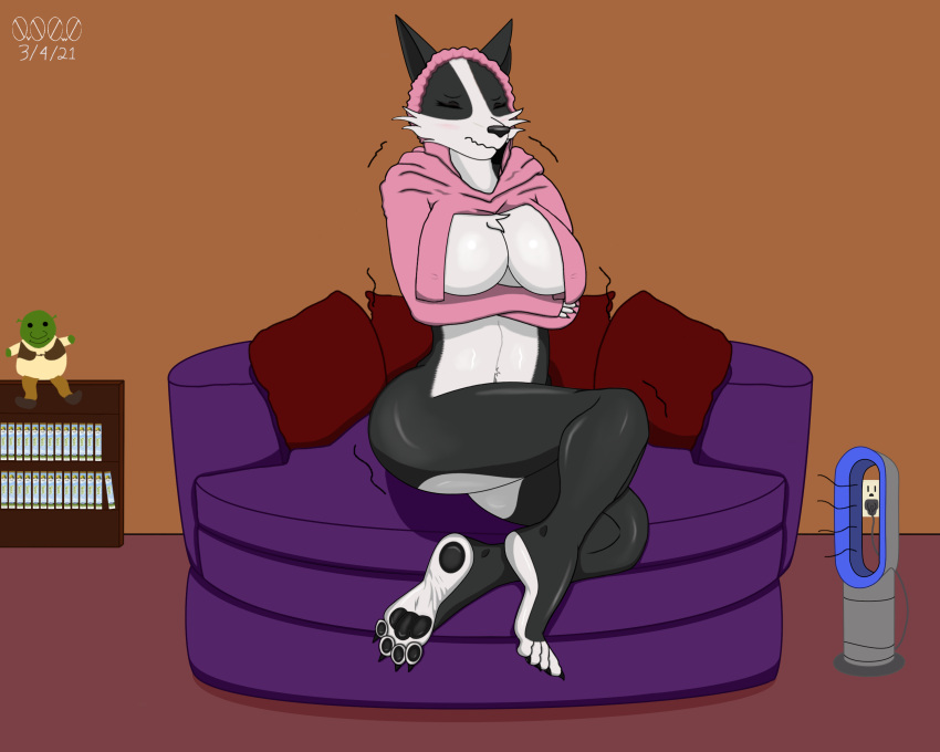 0v00w0_(artist) 5:4 absurd_res anthro border breasts canid canine canis chelana clothing cold collie cover domestic_dog dreamworks dvd_cover eyes_closed eyeshadow feet furniture heater herding_dog hi_res hoodie makeup mammal meme meme_clothing mostly_nude orange_sclera pastoral_dog pawpads paws pillow plushie shaking sheepdog shelf shivering shrek_(character) shrek_(series) simple_background sitting sitting_on_chair sofa solo topwear tuft twitter_hoodie