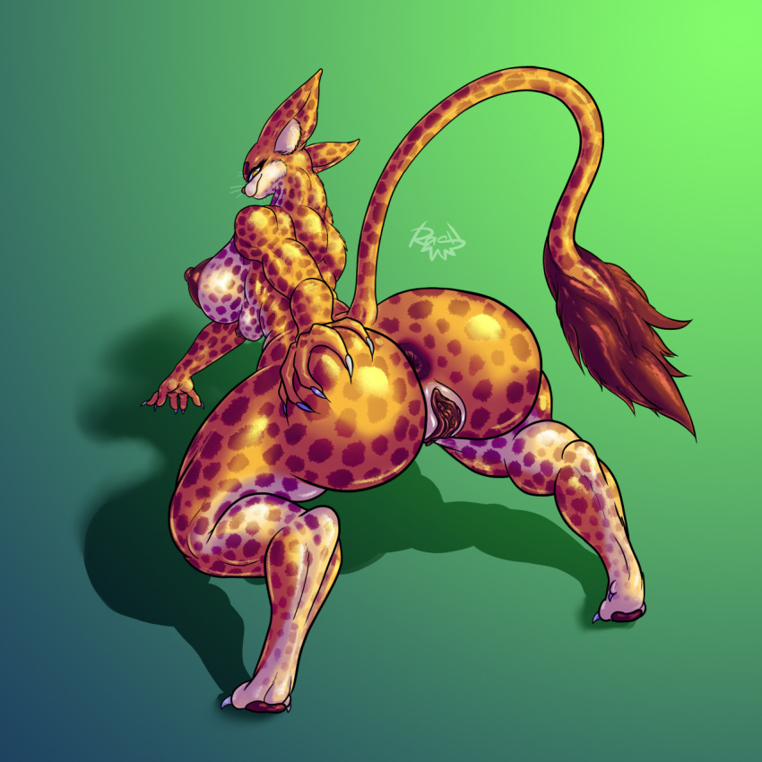 anthro anus areola big_areola big_butt breasts butt butt_grab domestic_cat felid feline felis female genitals hand_on_butt hi_res leopard mammal multi_breast pantherine paws pussy rashchaos solo tagme thick_thighs