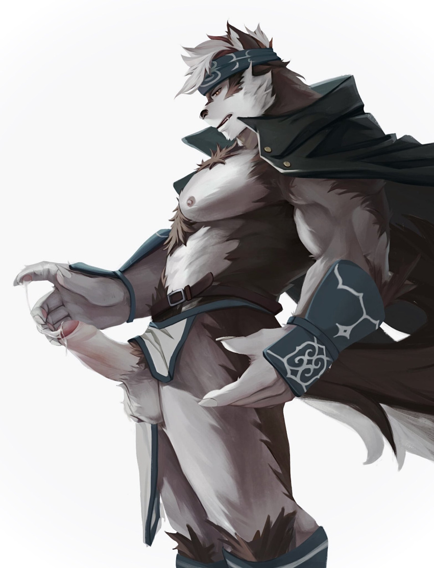 1boy ainu ainu_clothes animal_ears bara bare_pecs chest_hair erection feet_out_of_frame foreskin from_side furry grey_fur grey_hair headband highres horkeu_kamui_(tokyo_houkago_summoners) jacket jacket_on_shoulders large_pectorals male_focus male_pubic_hair muscular muscular_male nipples pelvic_curtain pelvic_curtain_aside penis profile pubic_hair short_hair silver_hair solo stomach tail testicles thighs tokyo_houkago_summoners two-tone_fur uncensored waxianfanta white_fur wind wolf_boy wolf_ears wolf_tail yellow_eyes