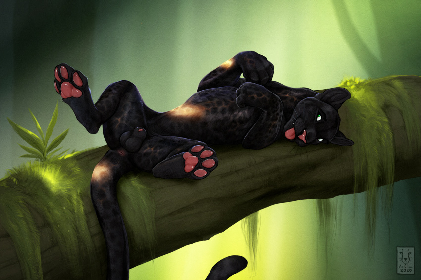 2020 4_fingers 4_toes absurd_res anatomically_correct anatomically_correct_genitalia anchee animal_genitalia animal_penis anus balls black_body black_fur blep digital_media_(artwork) feet felid feline_penis feral fingers fur genitals green_background hi_res hindpaw legs_up log lying male mammal moss on_back open_mouth pantherine pawpads paws penis penis_tip pink_nose pink_pawpads plant presenting shadowpanther sheath simple_background smile solo spots spotted_body spotted_fur spread_legs spreading teeth toes tongue tongue_out whiskers wood