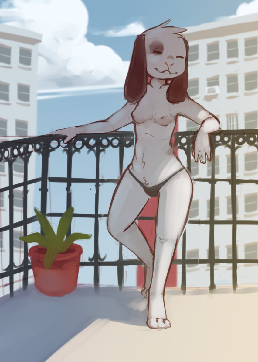 2020 anthro breasts building canid canine canis clothed clothing cloud conditional_dnp day domestic_dog elijah-draws eyes_closed female hi_res light lighting mammal nipples outside panties plant potted_plant railing shaded sky solo topless underwear window