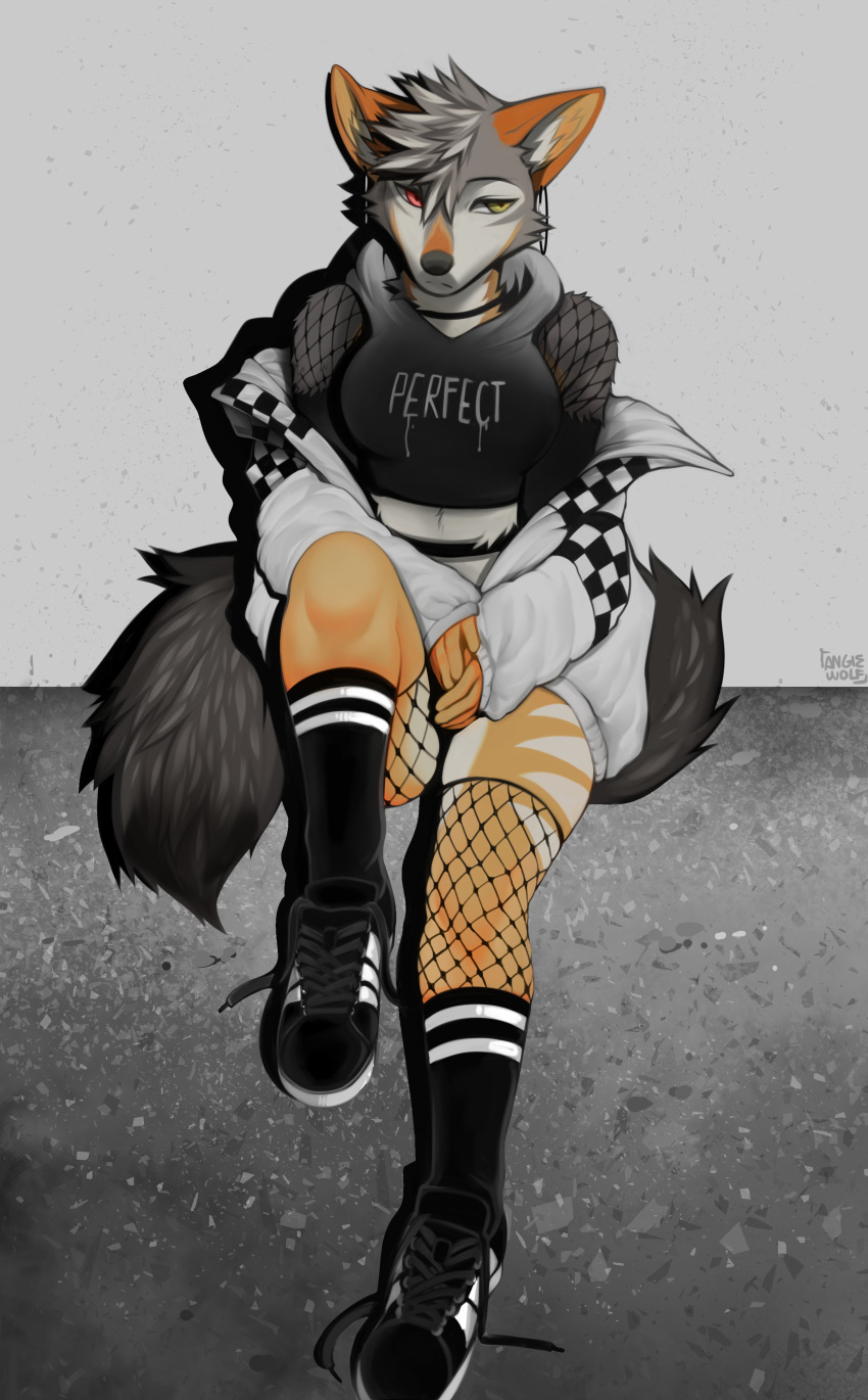 2021 absurd_res angiewolf anthro canid canine canis clothed clothing cover english_text female fhyra fishnet fishnet_legwear footwear heterochromia hi_res hoodie jackal legwear mammal shoes sitting sneakers solo text text_on_clothing text_on_hoodie text_on_topwear topwear