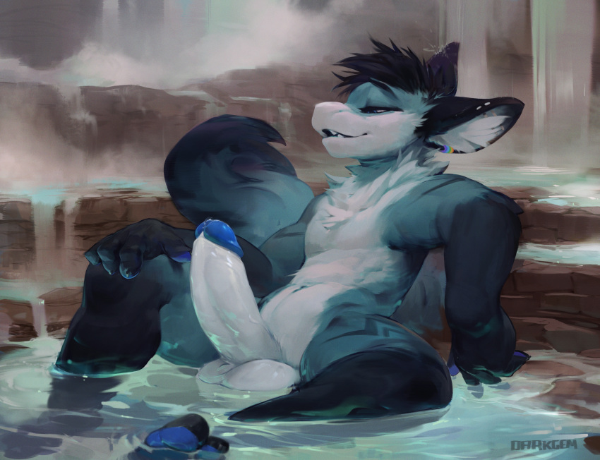 absurd_res anthro balls black_body black_ears black_fur black_hair blue_glans blue_pawpads countershade_torso countershading darkgem dragon erection eyes_mostly_closed fur furred_dragon genitals glans grey_body grey_countershading grey_fur hair hand_on_leg hi_res hot_spring lumikin male narrowed_eyes nude open_mouth partially_submerged pawpads penis solo water