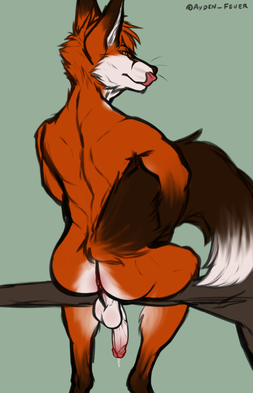 absurd_res anthro anus ayden_feuer bodily_fluids butt canid canine cum fox fox_tail genital_fluids genitals hi_res licking looking_at_viewer male mammal penis precum raised_tail smiling_at_viewer solo solo_focus tail_grab tongue tongue_out vein veiny_penis