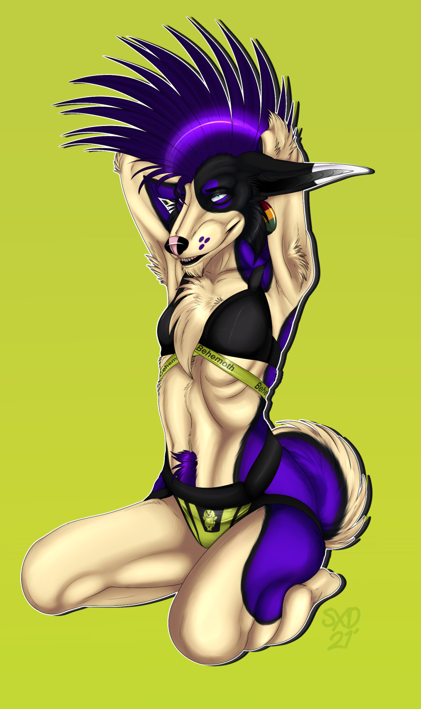 absurd_res body_hair bra canid canine canis clothed clothing confident female fluffy fluffy_chest fur green_background hair happy_trail hi_res jockstrap looking_at_viewer mammal mohawk outline pinup pose purple_hair rancid_kill rogue_fang sexualdoggo simple_background smile smirk solo tan_body underwear underwear_only wolf