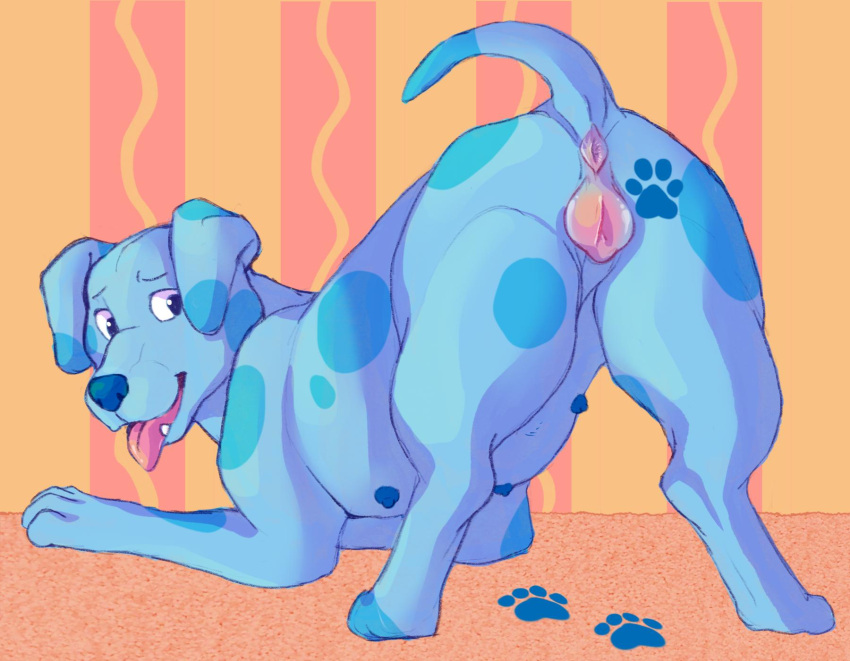 anatomically_correct anatomically_correct_genitalia anatomically_correct_pussy animal_genitalia animal_pussy anus ass_up blue's_clues blue_(blue's_clues) blue_body butt canid canine canine_pussy canis domestic_dog female feral footprint genitals hi_res looking_back mammal multi_nipple nickelodeon nipples nude open_mouth pawprint pink_tongue presenting presenting_anus presenting_hindquarters presenting_pussy pussy raised_tail rear_view seductive shadowpelt solo spots spotted_body tongue tongue_out