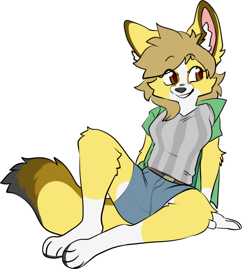 alloplush anthro audri blazer bottomwear brown_eyes canid canine canis clothed clothing domestic_dog female fennec fox fur herding_dog hi_res mammal pastoral_dog shirt shorts solo t-shirt topwear welsh_corgi yellow_body yellow_fur