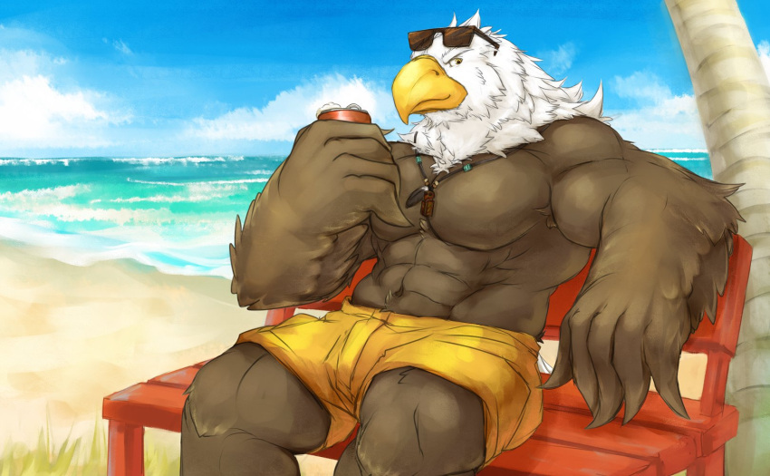 2018 abs accipitrid accipitriform anthro avian bald_eagle beach beak bench beverage biceps biped bird bottomwear can cinna-tree clothed clothing day eagle eyewear feathered_wings feathers hi_res jewelry kemono looking_at_viewer male muscular muscular_anthro muscular_male necklace on_bench outside palm_tree pecs plant portrait sand sea_eagle seaside shorts sitting sky smiling_at_viewer solo swimwear three-quarter_portrait topless tree water winged_arms wings yellow_eyes