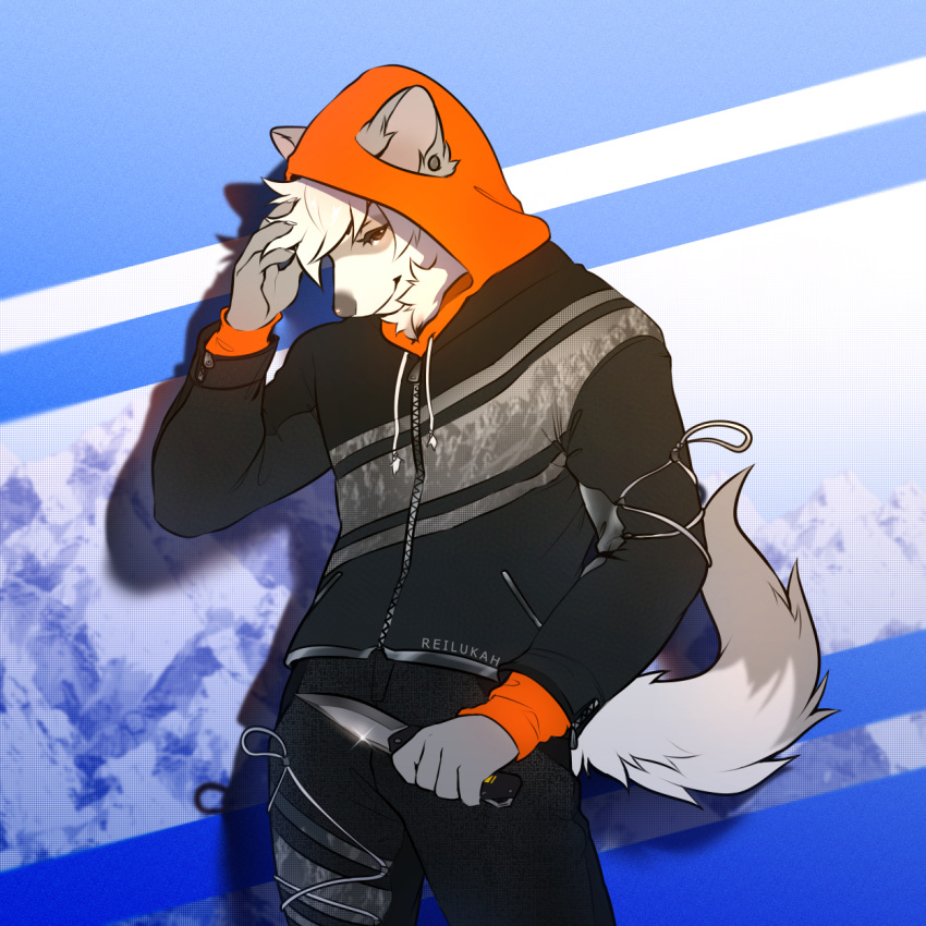 1:1 5_fingers anthro brown_eyes brown_nose canid canine canis clothed clothing domestic_dog ears_up fingers fur grey_tail hair hi_res hood knife looking_at_viewer lukiri male mammal open_eye raised_tail reilukah shy smile solo wallpaper weapon white_hair white_tail young