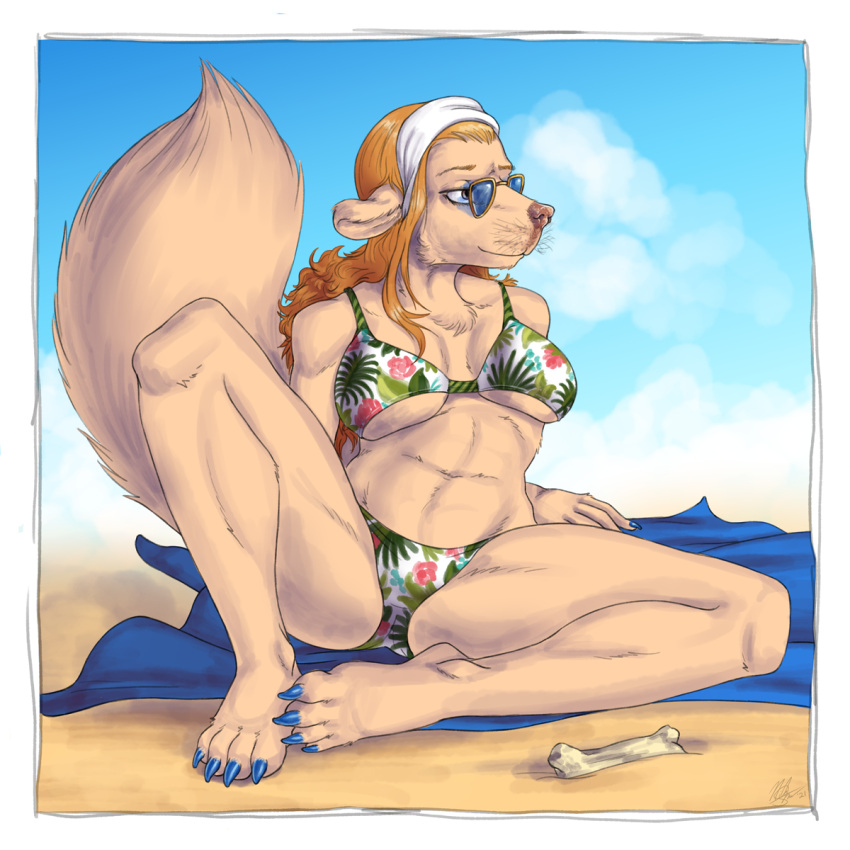 anthro bandanna bikini bone brown_body brown_eyes brown_fur canid canine canis clothing colored_nails domestic_dog eyewear female fur hair hi_res kerchief mammal minkmen_(one_piece) nails one_piece orange_hair pinup pose rodenbeard solo sunglasses swimwear towel wanda_(one_piece) whiskers