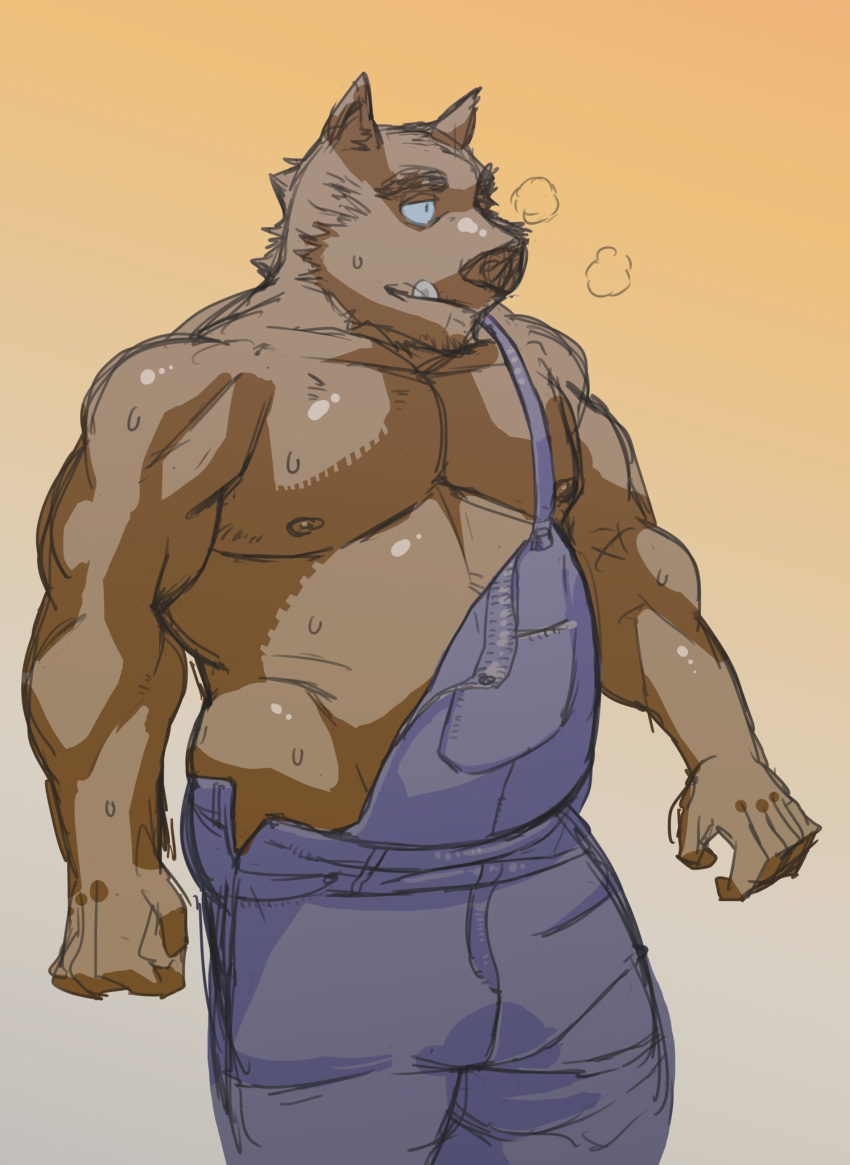 2021 anthro bodily_fluids brown_body brown_fur clothed clothing fur hi_res humanoid_hands ikaring kemono male mammal musclegut nipples overweight overweight_anthro overweight_male solo suid suina sus_(pig) sweat wild_boar