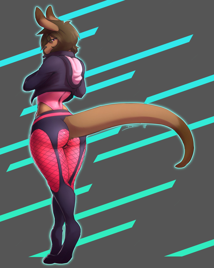 2018 abstract_background absurd_res anthro big_butt biped brown_hair butt butt_pose clothing curvy_figure digital_media_(artwork) digitigrade fishnet fur garter_belt_leggings girly hair hi_res hoodie kangaroo leggings legwear leotard looking_at_viewer looking_back looking_back_at_viewer macropod male mammal marsupial pink_eyes pose rear_view simple_background small_waist solo standing thick_tail thick_thighs topwear tyroo tyroo_(character) voluptuous wide_hips