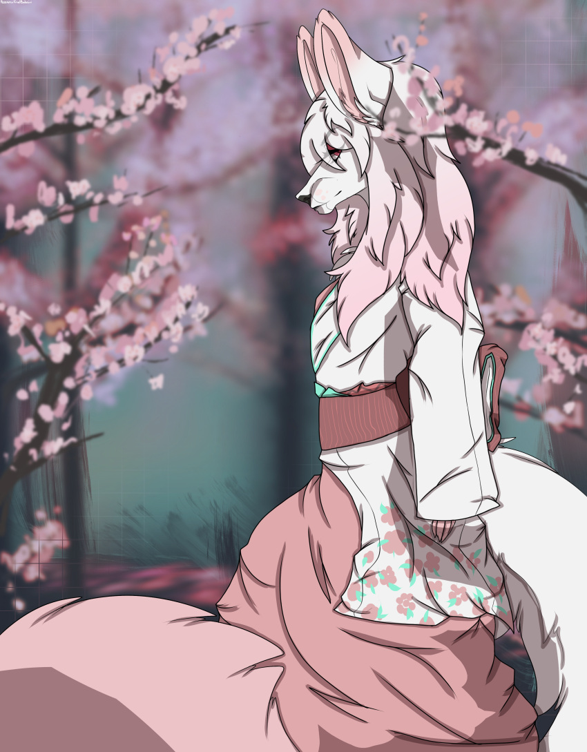 absurd_res anthro asian_clothing black_nose canid canine canis cherry_blossom cherry_blossom_tree cherry_tree clothing east_asian_clothing female fox fruit_tree fur hair hi_res hybrid japanese_clothing kimono long_hair long_tail mammal pink_body pink_eyes pink_fur pink_hair plant sakura_d_lyall_(sakuradlyall) solo tree unknown_artist white_body white_fur wolf