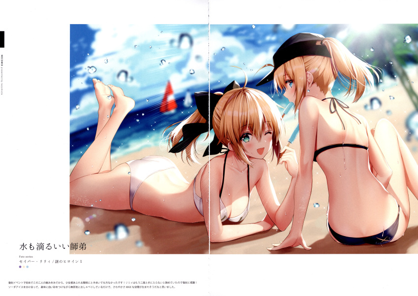 crease fate/grand_order heroine_x necomi saber saber_lily