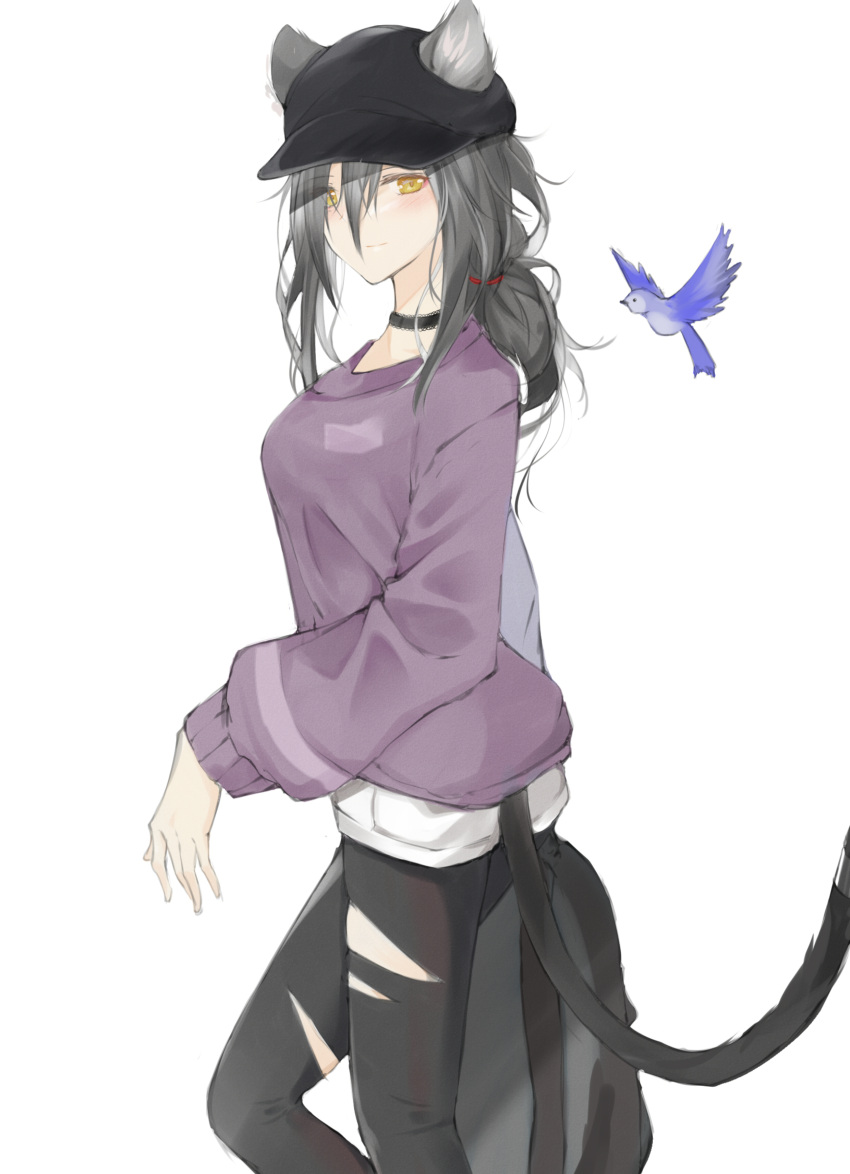 1girl absurdres alternate_costume animal_ears arknights bangs bird black_choker black_headwear black_pants casual cat_ears cat_tail choker commentary_request ears_through_headwear feet_out_of_frame hair_between_eyes highres kaminarichyan leggings long_hair long_sleeves looking_at_viewer pants purple_sweater schwarz_(arknights) silver_hair simple_background solo standing sweater tail torn_clothes torn_pants white_background yellow_eyes