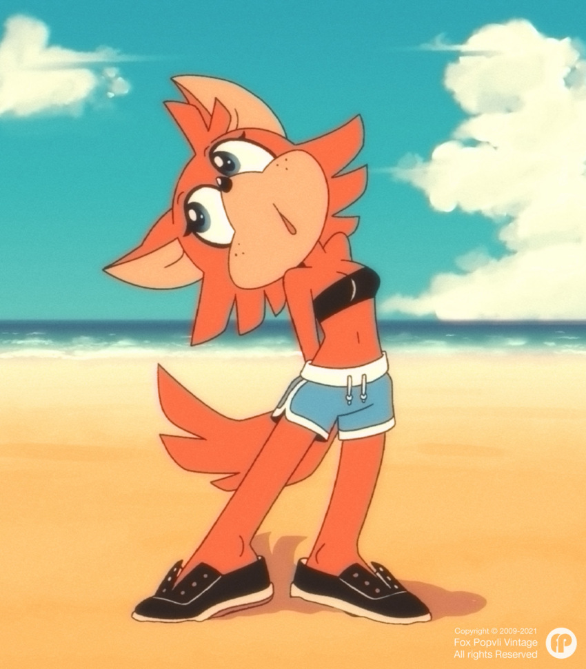 anthro bandeau beach blue_eyes bottomwear canid canine canis clothing day fan_character female footwear fox-pop fur gym_bottomwear gym_clothing gym_shorts hi_res mammal navel orange_body orange_fur red_wolf seaside shoes shorts solo sonic_the_hedgehog sonic_the_hedgehog_(series) topwear wolf