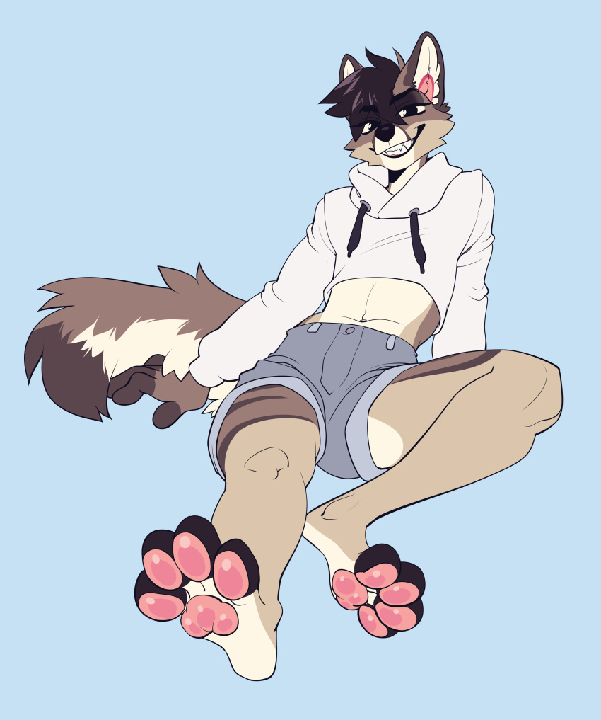 4_toes absurd_res anthro barefoot biped bottomwear canid canine clothed clothing crop_top feet fur hair hi_res inner_ear_fluff looking_at_viewer male mammal navel pawpads paws sharp_teeth shirt shorts simple_background sitting smile solo takiminada teeth toes topwear tuft