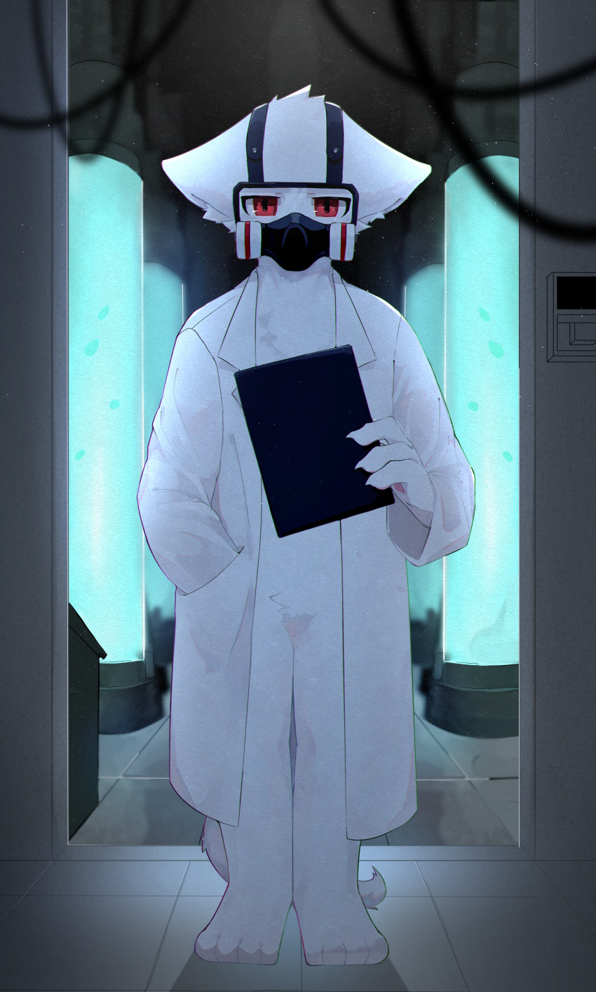 4_toes absurd_res anthro canid canine canis changed_(video_game) claws clipboard clothing coat dr._k_(changed) feet fur gas_mask hand_in_pocket hi_res lab_(disambiguation) lab_coat looking_at_viewer male mammal mask pawpads poch1 pockets red_eyes solo toes topwear white_body white_fur wolf