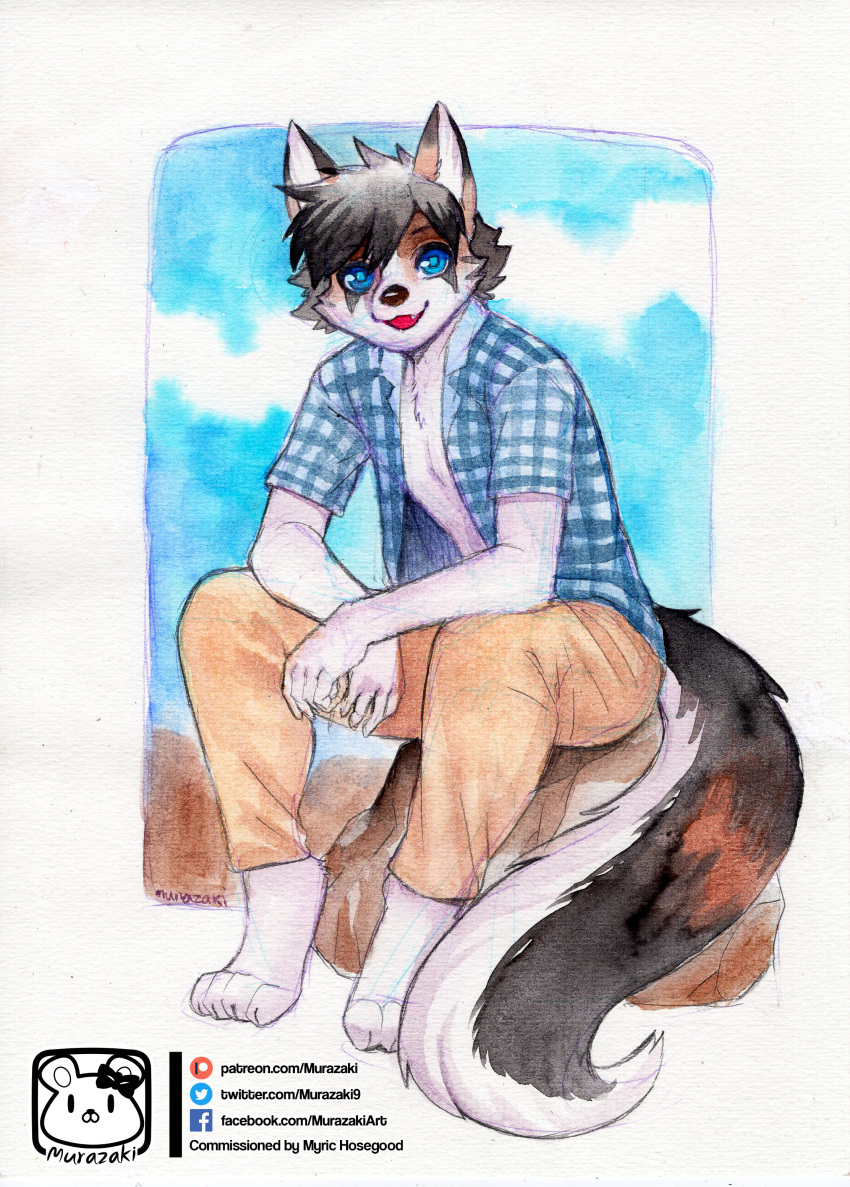 absurd_res anthro biped bottomwear canid canine clothed clothing fully_clothed fur hair hi_res looking_at_viewer male mammal murazaki open_clothing open_mouth open_shirt open_topwear outside painting_(artwork) pants paws shirt sitting smile solo text topwear traditional_media_(artwork) url watercolor_(artwork)