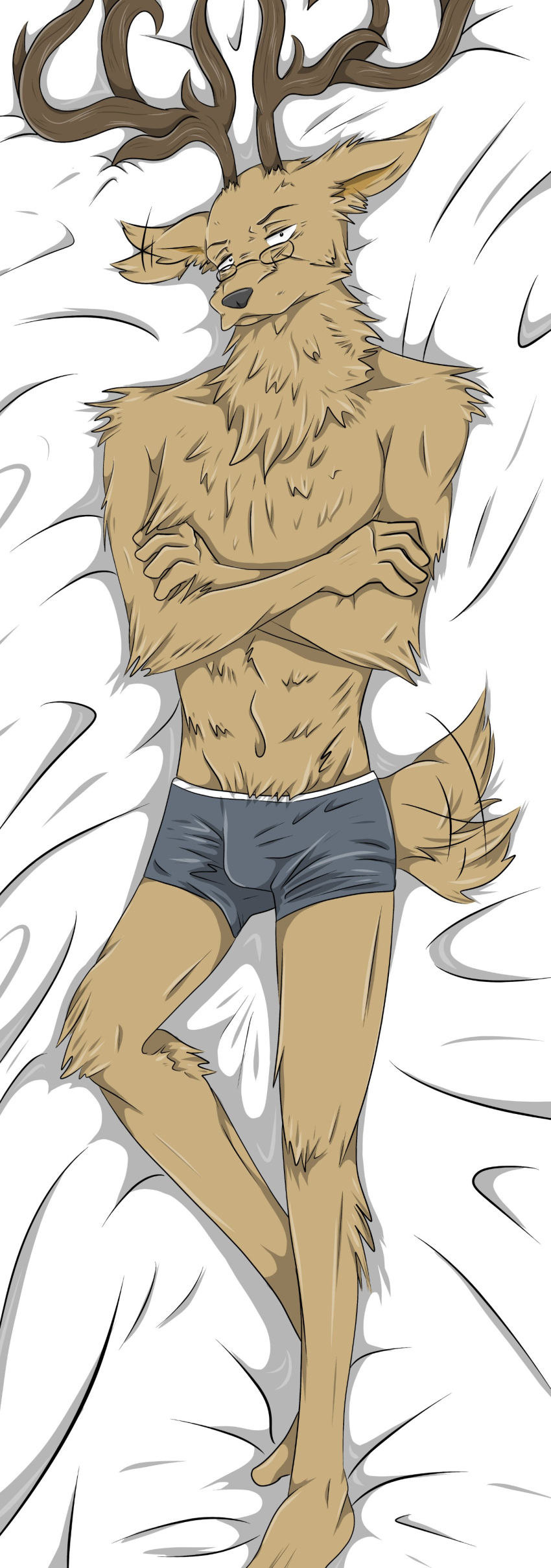 2021 absurd_res anthro antlers beastars bird's-eye_view boxer_briefs brown_body brown_fur bulge cervid cervine clothed clothing crossed_arms dakimakura_design ear_wiggle eyewear fluffy full-length_portrait fur glasses hi_res high-angle_view horn lilaclayla looking_at_viewer male mammal mature_male oguma_(beastars) pince-nez portrait red_deer solo tailwag topless underwear underwear_only