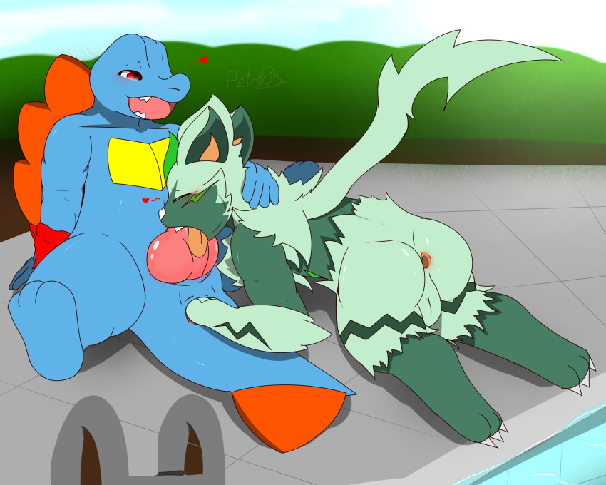 anthro anus balls duo fellatio feral genitals hi_res knot legendary_pok&eacute;mon male male/male nintendo oral oral_penetration penetration penile penis petro_(artist) pok&eacute;mon pok&eacute;mon_(species) sex slit totodile video_games zeraora