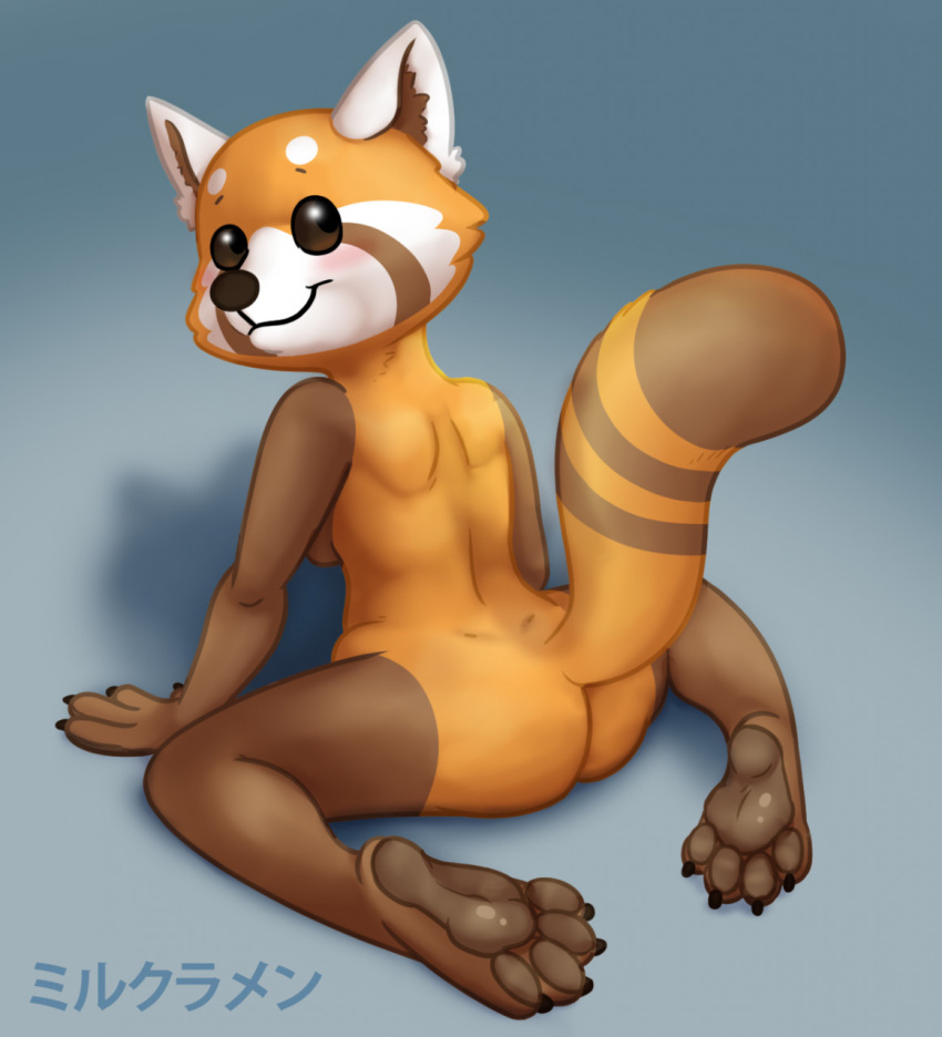 4_fingers 4_toes aggressive_retsuko ailurid anthro back_boob big_butt blue_background blush breasts brown_body brown_eyes brown_fur butt claws convenient_censorship feet female fingers fur hi_res japanese_text kneeling looking_at_viewer looking_back mammal milk-ramen nude orange_body orange_fur pawpads paws rear_view red_panda retsuko sanrio shadow simple_background sitting smile soles solo text toes translation_request wide_hips