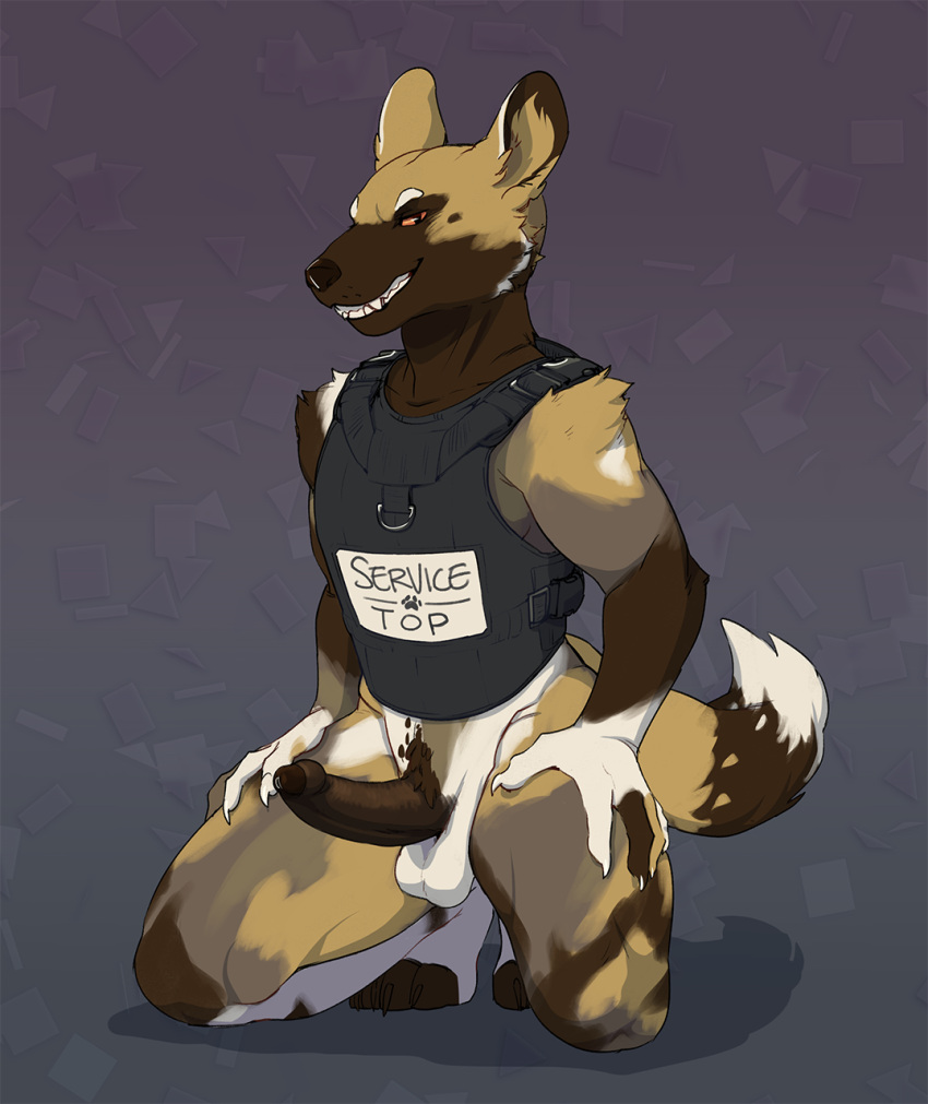 2021 african_wild_dog anthro athletic balls big_ears black_nose bodily_fluids bottomless bottomless_male brown_penis canid canine clothed clothing cosmicminerals erection fari_paredes fur fur_pattern fuzzy_tail genital_fluids genitals grin hand_on_leg hand_on_thigh harness hi_res kneeling male mammal multicolored_body multicolored_fur orange_eyes partial_nudity penis precum presenting presenting_penis smile solo text text_on_clothing text_on_topwear text_on_vest topwear vest white_balls