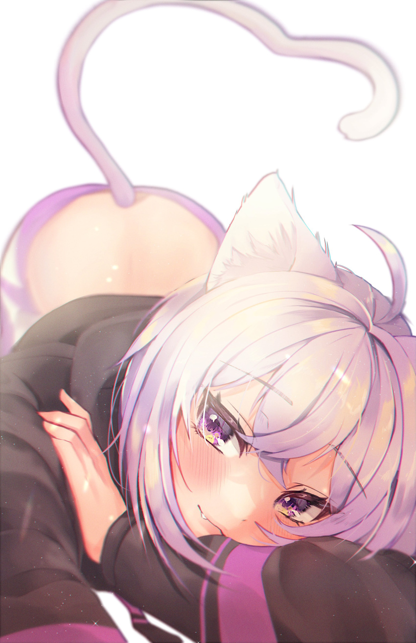 1girl absurdres animal_ear_fluff animal_ears bangs bent_over black_hoodie cat_ears cat_tail cowlick eyebrows_visible_through_hair fang fang_out grey_pants hand_on_own_arm highres hololive hood hoodie leehwa looking_at_viewer nekomata_okayu pants purple_eyes purple_hair smile solo sweatpants tail virtual_youtuber white_background