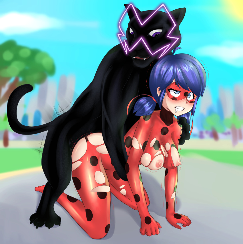 2021 absurd_res animan_(miraculous_ladybug) bestiality big_breasts blue_eyes blue_hair blush breasts clothing felid female female_penetrated feral feral_penetrating feral_penetrating_human hair hi_res human human_on_feral human_penetrated interspecies male male/female male_penetrating male_penetrating_female mammal marinette_dupain-cheng miraculous_ladybug miraculous_ladybug_(character) nipples penetration redbug222 sex torn_clothing